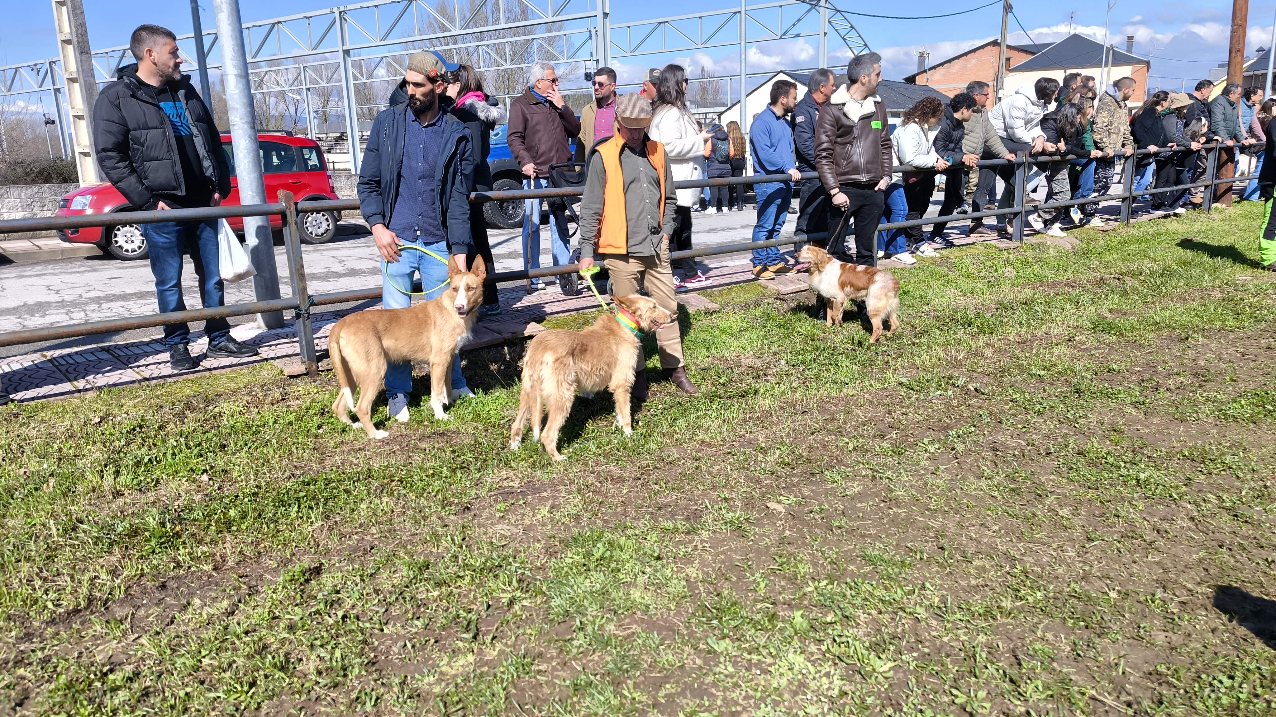 Un concierto muy bonito